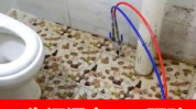 附近维修卫生间漏水电话,附近专业维修服务电话一览