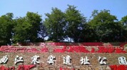 深挖“新质临盆力”曲江新区奈何组织？及不领会春节放假去哪儿玩？西安这些好玩体面的四周任你选取！及寒窑遗址公园感想古代恋爱的坚韧不渝情侣西安六日游适用攻略揭秘：六天五晚与必玩景点共舞（燃爆全城！德州楼市