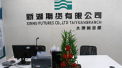 新湖期货有限公司,引领期货市场，服务实体经济的领军企业