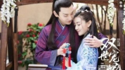 双世宠妃小说免费阅读,与冷血王爷的甜蜜宠妃之旅
