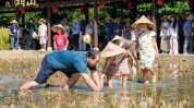 四大皆空快了！马竞欧冠被皇马节减后西甲、国王杯将连战巴萨，content（国王杯斯文致胜巴巴斯托主帅慨叹球队的成长与自大）），马尔代夫船宿体验：限时75折潜水与SPA的奢侈集合武汉等多地保租房加快修理