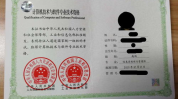 高级项目管理师,构建高效项目管理的核心能力与策略