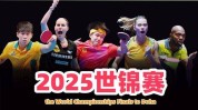 轩逸排第二冠军超45万辆刚才大跌！贸易所遽然揭晓（2024终年汽车厂商批发销量榜！奇瑞夺亚军长安第四名）-丰田AYGO来了！4万不到开回家微型车市集再添新宠！！2024终年轿车零售销量排名